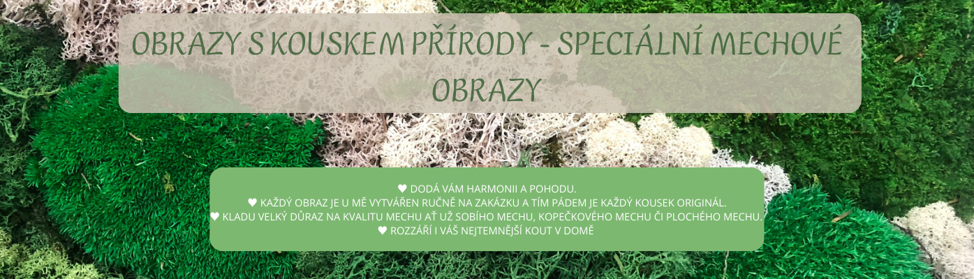 OBRAZY S KOUSKEM PŘÍRODY - SPECIÁLNÍ MECHOVÉ OBRAZY